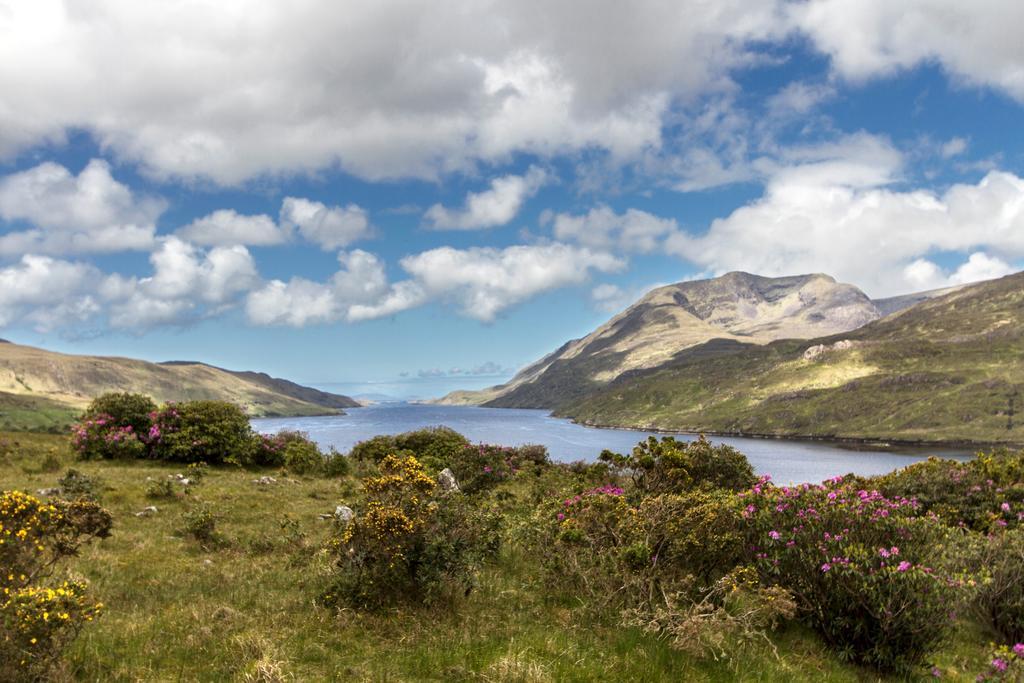 Hotel Killary Adventure Centre Leenaun Exteriér fotografie